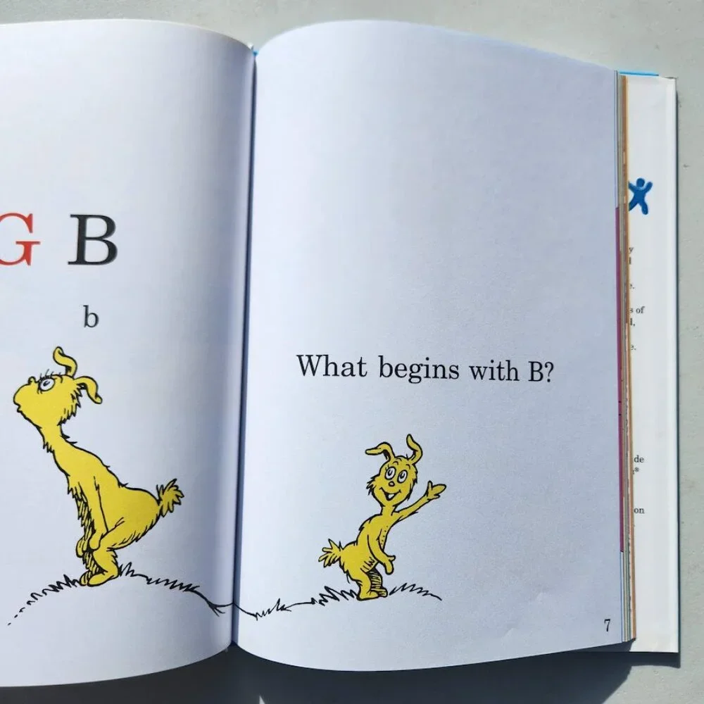 Dr. Seuss new cat